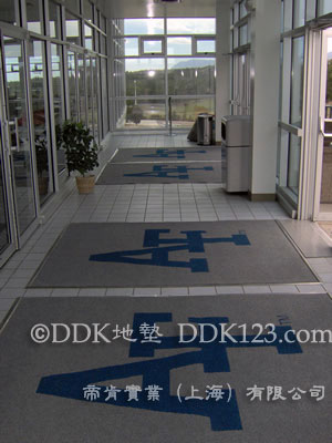防滑腳墊\除塵墊\塑料防滑地毯\防塵踏墊\圈絲地墊\DDK地墊
